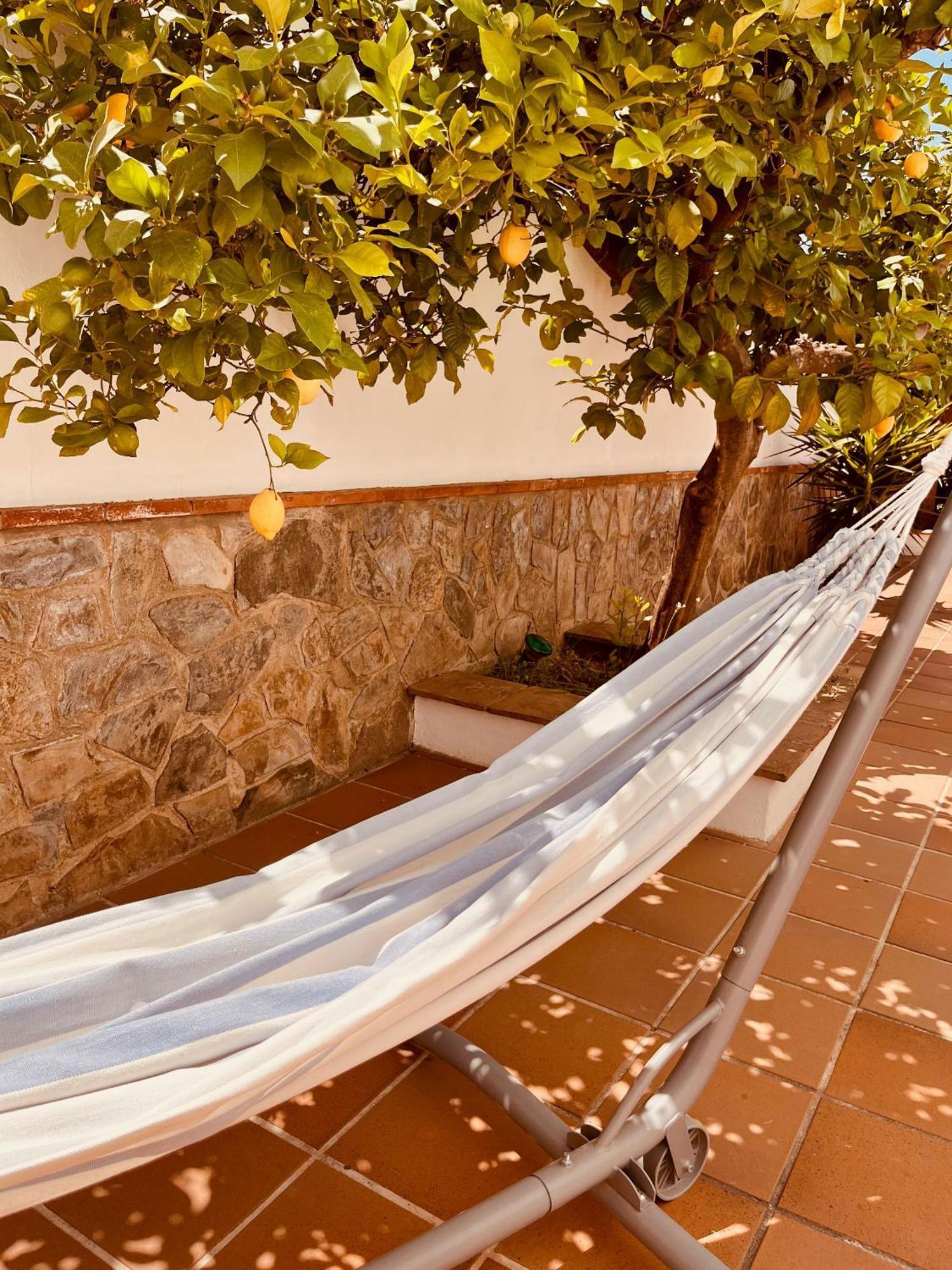 Casa Limon, Boutique Bed And Breakfast, Adults Only Alhaurín el Grande Buitenkant foto